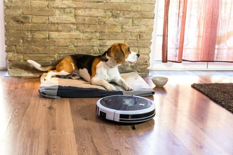 robot aspirador simplifica tu vida