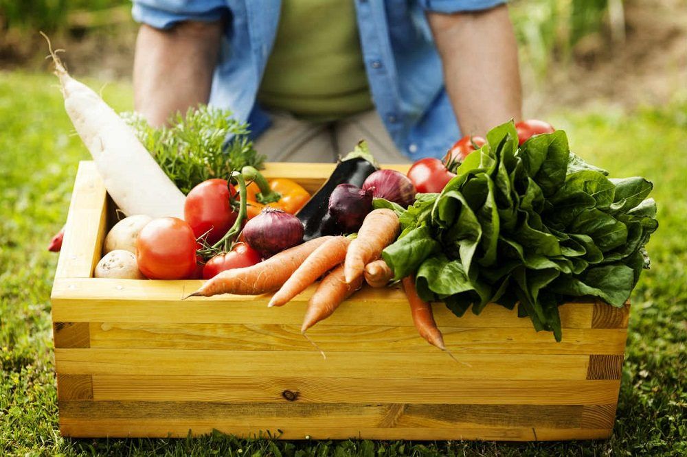alimentos ecológicos