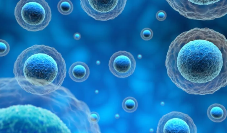 Células y microorganismos consiguen resolver complejos laberintos mejor que humanos