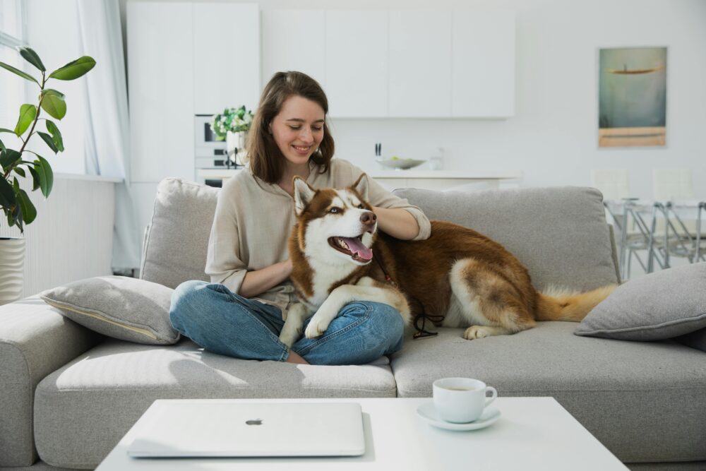 tecnología para mascotas